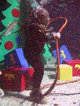 IMG_4993 IMG_4993