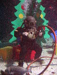 IMG_4994 IMG_4994