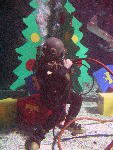 IMG_4995 IMG_4995