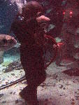 IMG_4997 IMG_4997