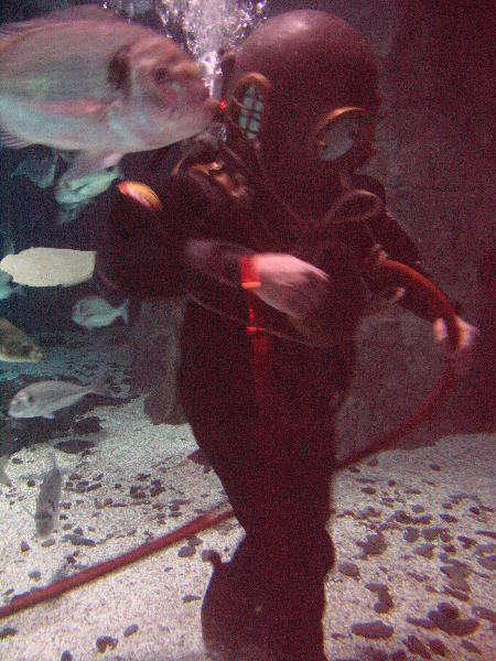 IMG_4998