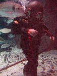 IMG_4998 IMG_4998