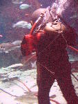 IMG_4999 IMG_4999