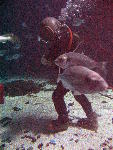 IMG_5000 IMG_5000
