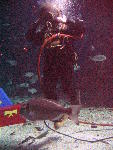 IMG_5004 IMG_5004