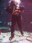IMG_5005 IMG_5005