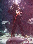 IMG_5007 IMG_5007