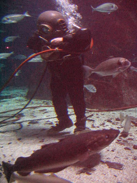 IMG_5008