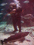 IMG_5008 IMG_5008