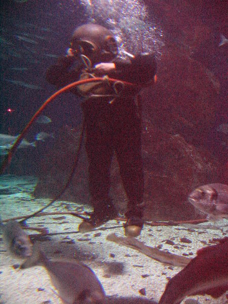 IMG_5009