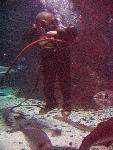 IMG_5009 IMG_5009