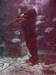 IMG_5010 IMG_5010