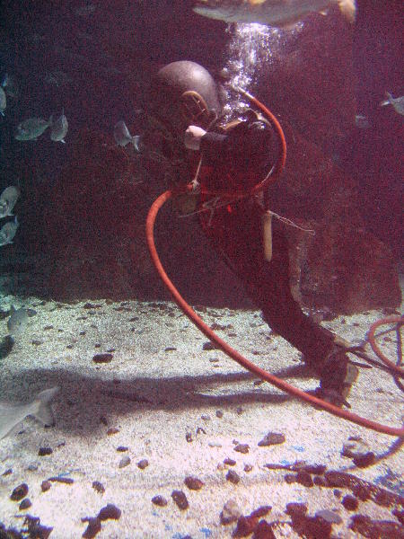 IMG_5011