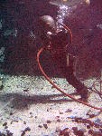 IMG_5011 IMG_5011