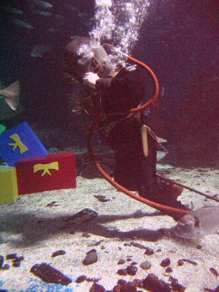 IMG_5012