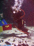 IMG_5012 IMG_5012