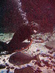 IMG_5013 IMG_5013
