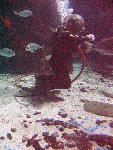 IMG_5014 IMG_5014