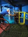 IMG_5015 IMG_5015