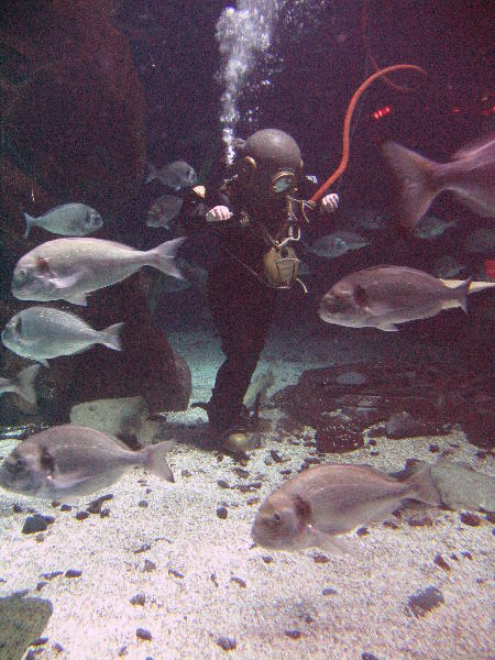 IMG_5047