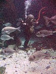 IMG_5047 IMG_5047