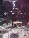 IMG_5048 IMG_5048