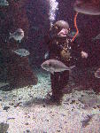 IMG_5049 IMG_5049