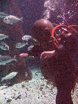 IMG_5050 IMG_5050