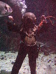 IMG_5051 IMG_5051