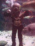 IMG_5055 IMG_5055