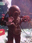 IMG_5058 IMG_5058