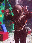 IMG_5060 IMG_5060