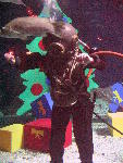 IMG_5061 IMG_5061