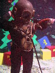 IMG_5062 IMG_5062