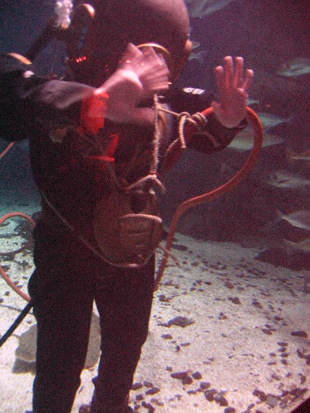 IMG_5063
