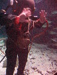 IMG_5063 IMG_5063