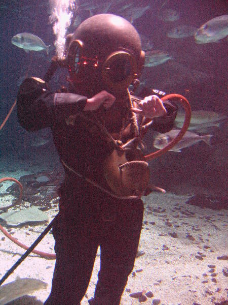 IMG_5064
