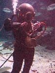 IMG_5064 IMG_5064