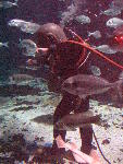 IMG_5065 IMG_5065