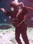 IMG_5066 IMG_5066