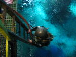 IMG_5069 IMG_5069