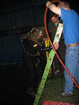 IMG_5091 IMG_5091