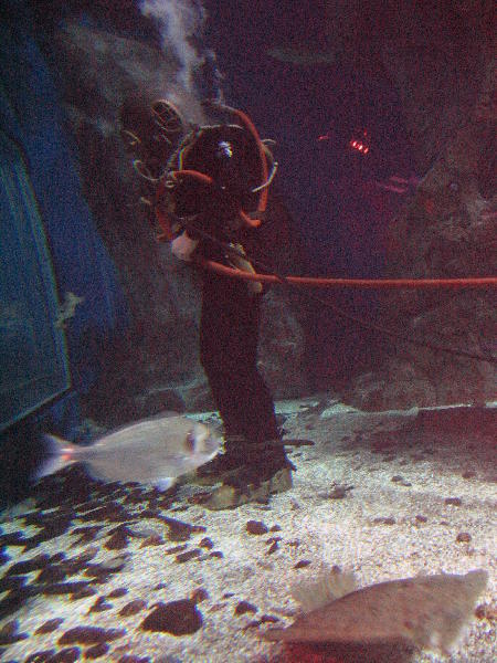 IMG_5095