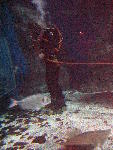 IMG_5095 IMG_5095
