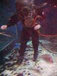 IMG_5096 IMG_5096
