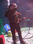 IMG_5097 IMG_5097