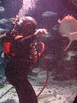IMG_5098 IMG_5098