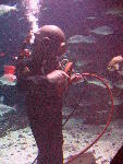 IMG_5099 IMG_5099