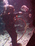 IMG_5100 IMG_5100