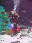 IMG_5102 IMG_5102